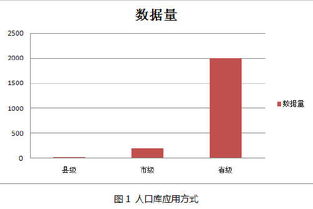 大數(shù)據(jù)時(shí)代下的人口數(shù)據(jù)應(yīng)用與大數(shù)據(jù)服務(wù)
